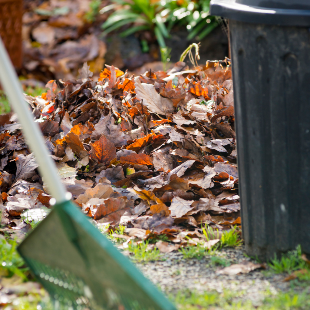 Environmentally Responsible Offices: Recycling in Philadelphia