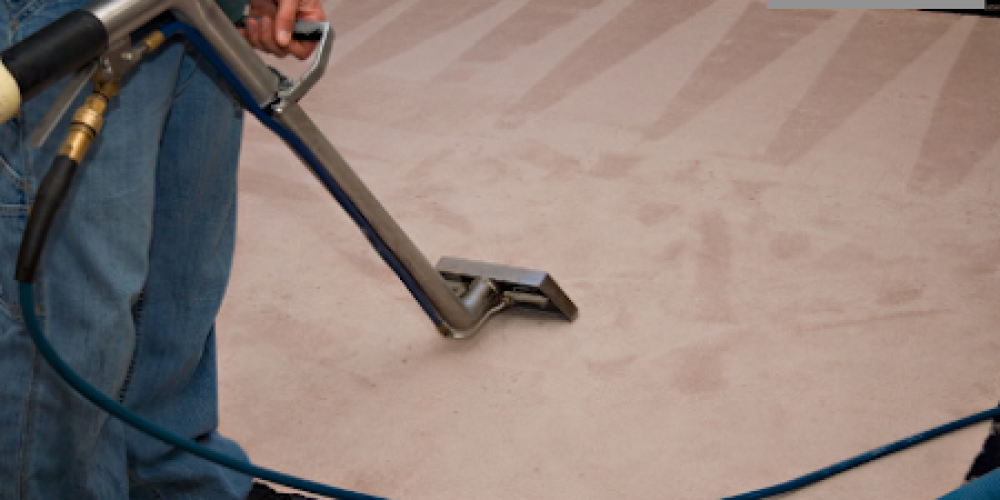 professional carpet removal services